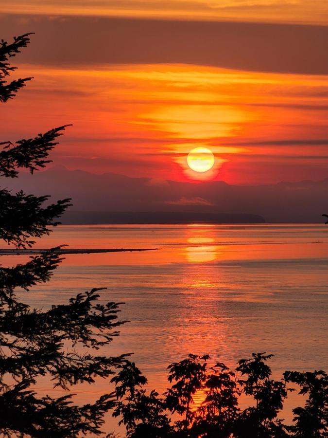 Ocean'S Edge Suite Campbell River Bagian luar foto