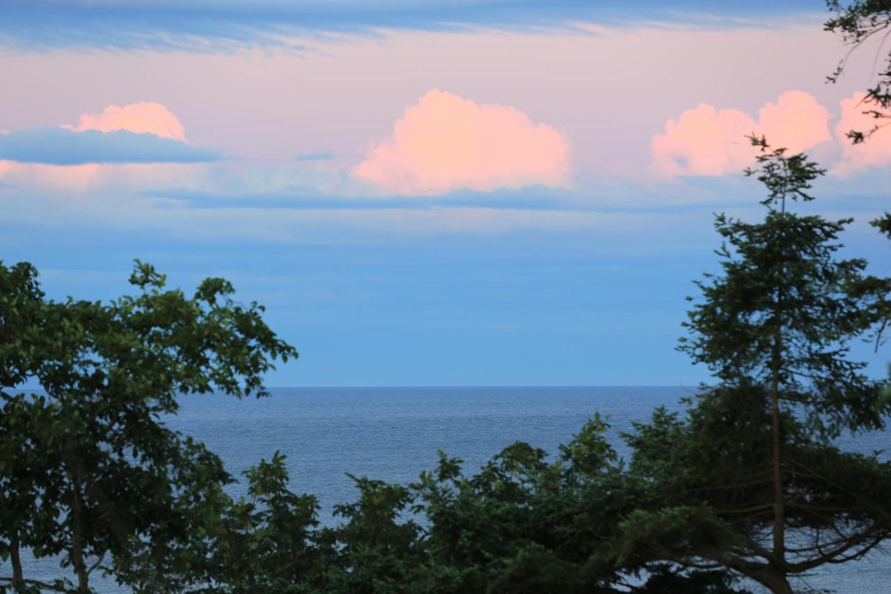 Ocean'S Edge Suite Campbell River Bagian luar foto